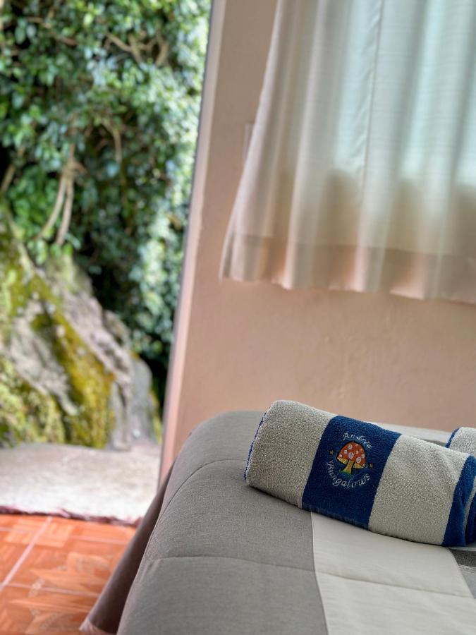 Bungalows Andrea Tepoztlán Kültér fotó